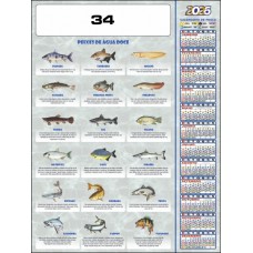 I - POSTER 34